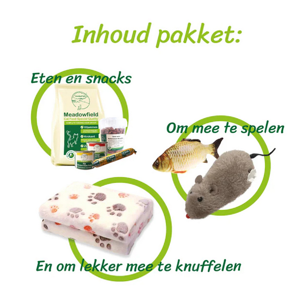 kitten-pakket-2.jpg