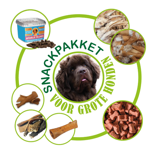 Snackpakket speciaal voor de grote hond