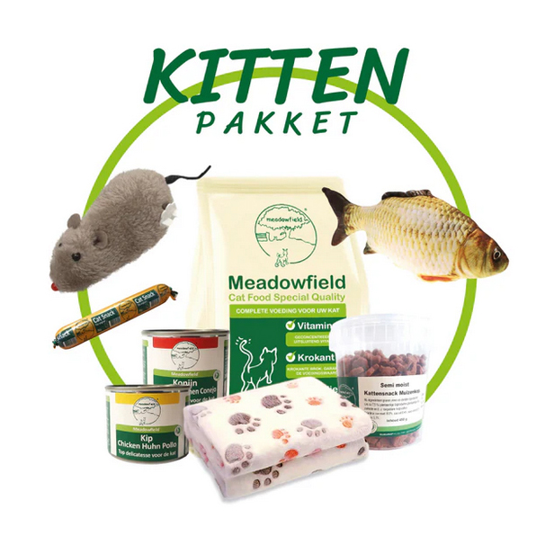 Cadeaupakket voor Kittens: De perfecte Start voor je nieuwe kat