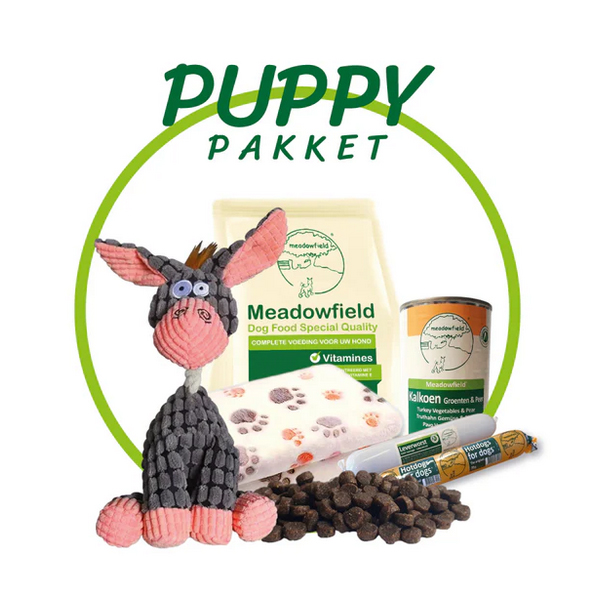 Compleet Pakket voor een Puppy - Eten & Spelen