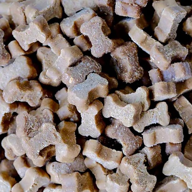 Semi Moist Insecten - 1 zak van 1 kg